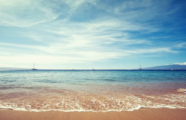 论文参考文献格式怎么对齐,论文文献引录怎么写