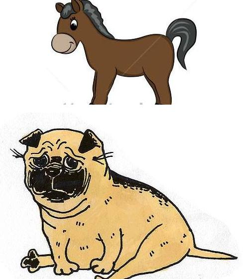 这5个生肖命最好有富贵有福缘,最容易漏财的四大生肖配对