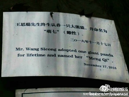 王思聪豆得儿甜蜜,豆得儿张小蒙王思聪