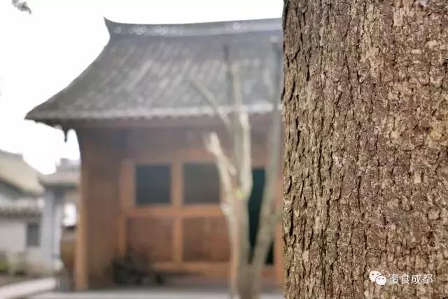 这里的春天最美丽歌词 (这里的春天最美丽)