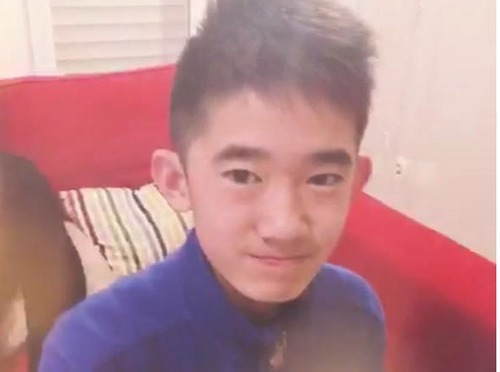 红果果和绿泡泡小鹿姐姐,红果果和小鹿姐姐