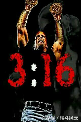 猛兽布洛克莱斯纳重摔之城,wwe布洛克莱斯纳vs人间怪兽完整版