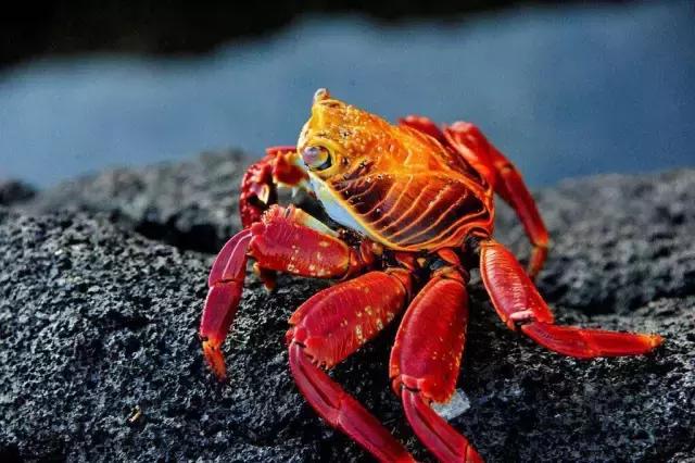 这才是旅行的样子，从亚洲至南美洲，他比我们多了点勇气和决心