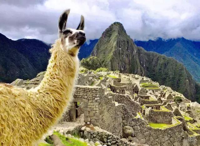 这才是旅行的样子，从亚洲至南美洲，他比我们多了点勇气和决心