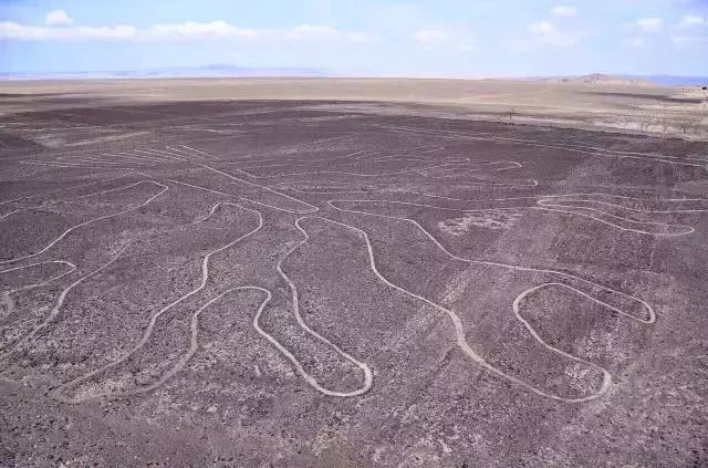 这才是旅行的样子，从亚洲至南美洲，他比我们多了点勇气和决心
