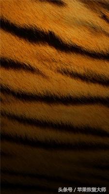 iphone超有质感的壁纸,关于黑色的高级感iphone壁纸