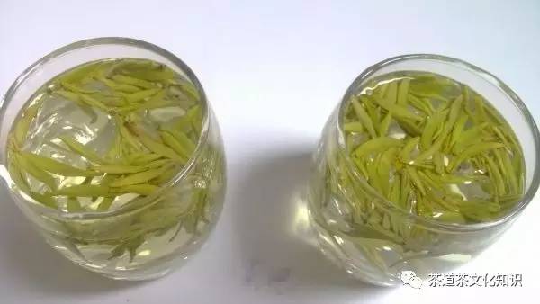 峨眉竹叶青与峨眉银针,峨眉雪芽和竹叶青品鉴
