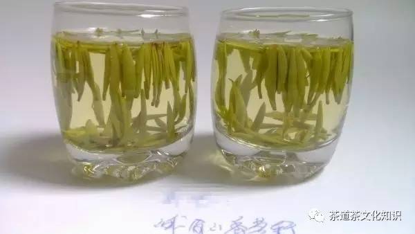 峨眉竹叶青与峨眉银针,峨眉雪芽和竹叶青品鉴