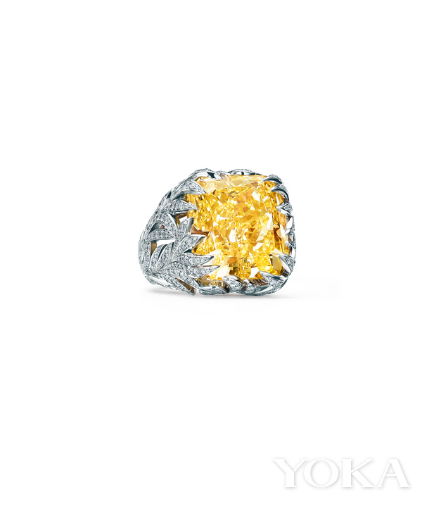 蒂芙尼珠宝有哪些特点,蒂芙尼新一季高级珠宝系列