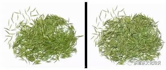 峨眉竹叶青与峨眉银针,峨眉雪芽和竹叶青品鉴