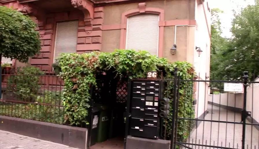 这份为了杭州的“垂直绿化”倡议书，请您查收！