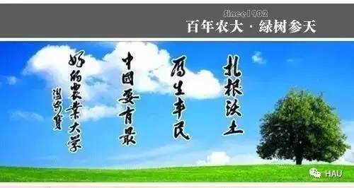 开心周末,周末开心表情包图片