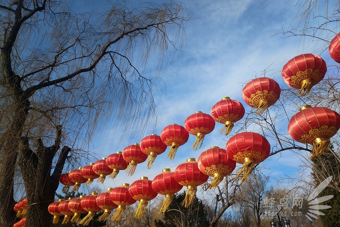 百诺便携相机三脚架评测,百诺三脚架if19对比mc19