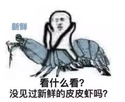 网红豪华坐骑皮皮虾，失踪后再现魔都竟然是在这里，带走它唯一的方法就是……