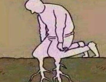 二马时评｜用互联网重建“自行车王国”是一个遥远的梦？