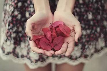 一张报关单两个品名怎么申报,报关单小样