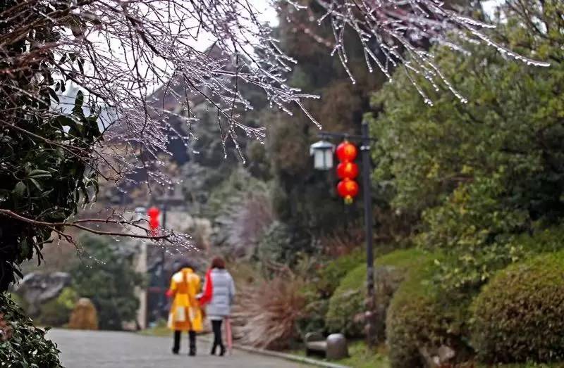雪竟下得那么认真？居然感动了孟非踏雪来到江西，等不及了快上车