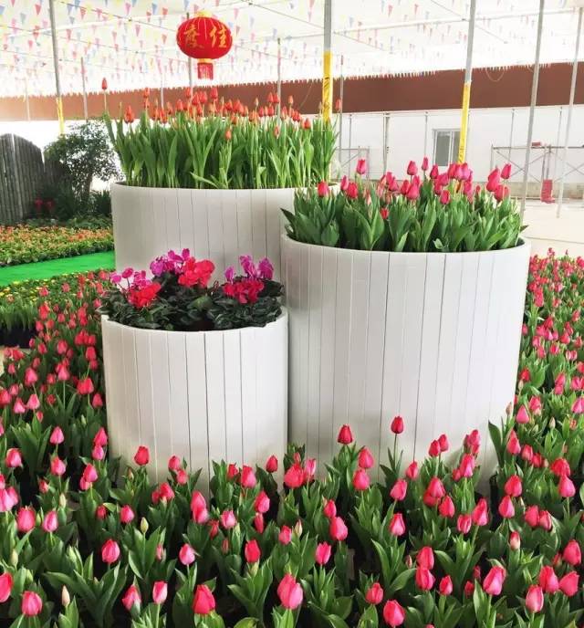 怡园花田官网,怡园花田特惠票