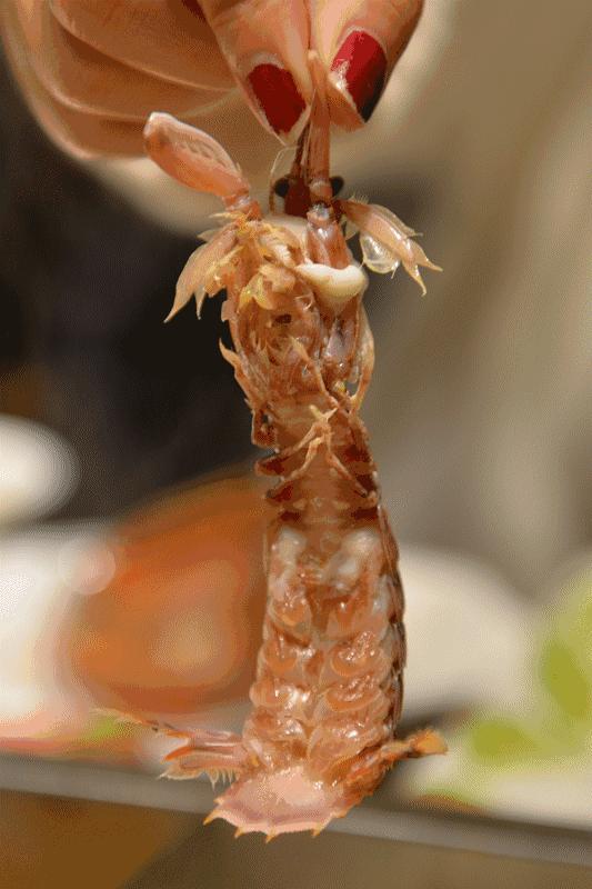 网红豪华坐骑皮皮虾，失踪后再现魔都竟然是在这里，带走它唯一的方法就是……