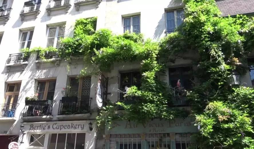 这份为了杭州的“垂直绿化”倡议书，请您查收！