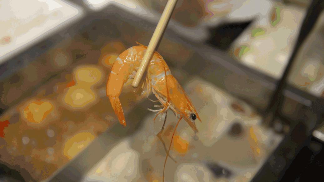 网红豪华坐骑皮皮虾，失踪后再现魔都竟然是在这里，带走它唯一的方法就是……