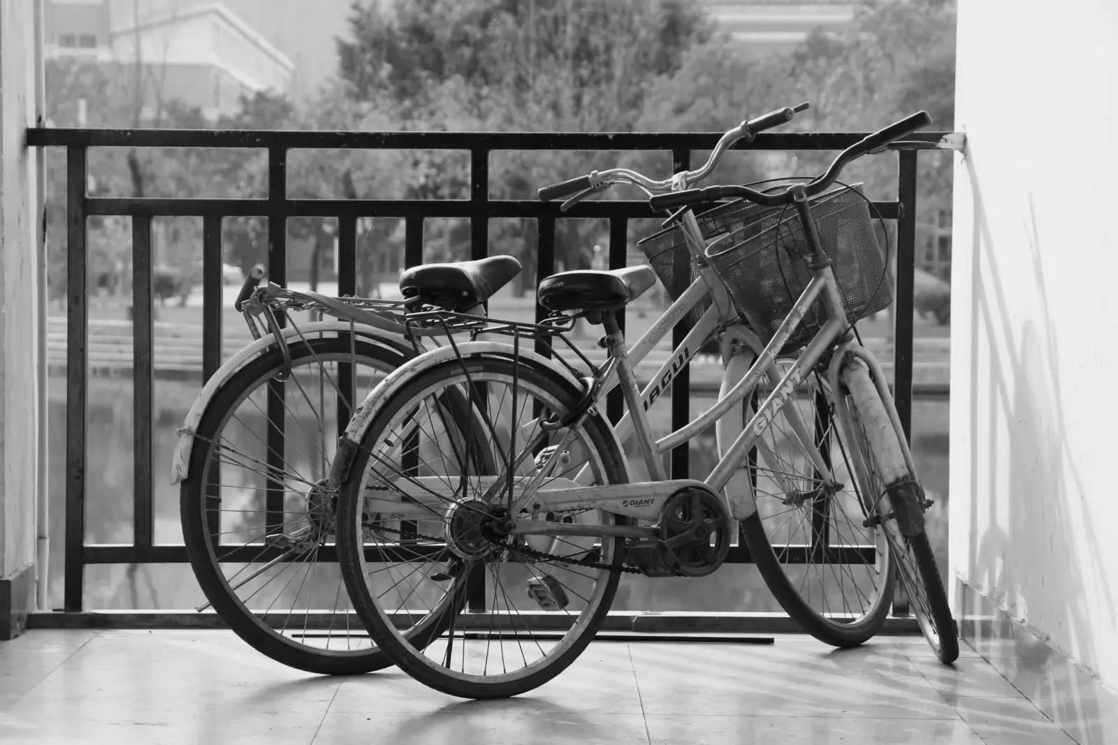 福师大版诗词大会｜长安辞赋星雨谣，仓旗才俊巧成章