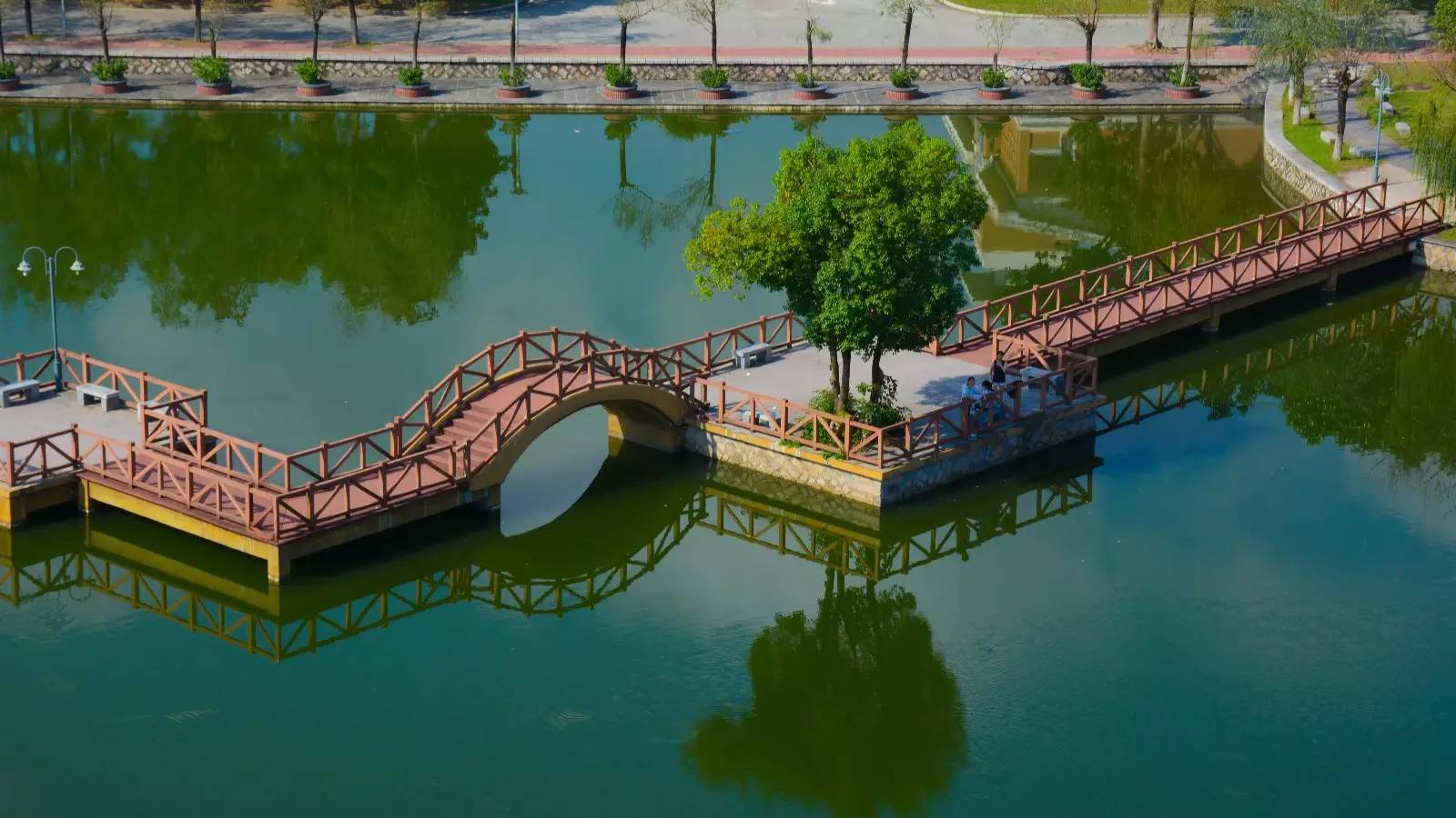 福师大版诗词大会｜长安辞赋星雨谣，仓旗才俊巧成章