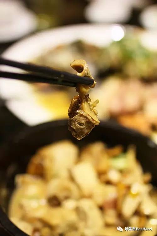 江浙沪周末亲子度假游的最佳选择,上海东方绿舟独有的美食