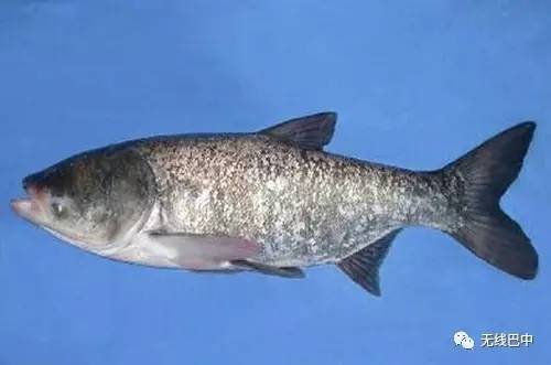 3.15消费指南，巴中这么多产品都被“曝光”啦~