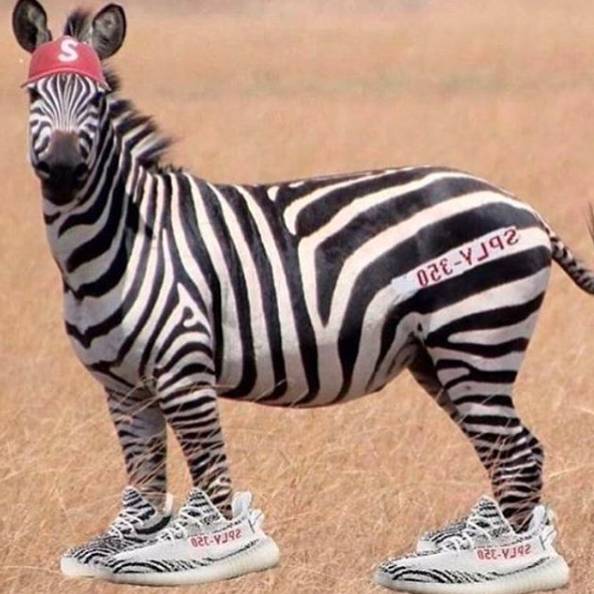 aj和白斑马哪个好,最值得入手的aj排行价格