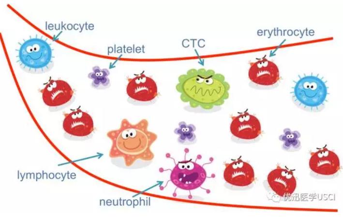 液体ctc循环肿瘤细胞检测靠谱吗,液体活检dna检测准确性