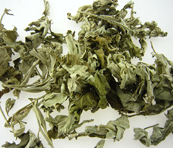 忽悠女人多年的4种病，听上去挺吓人的，其实不一定要治