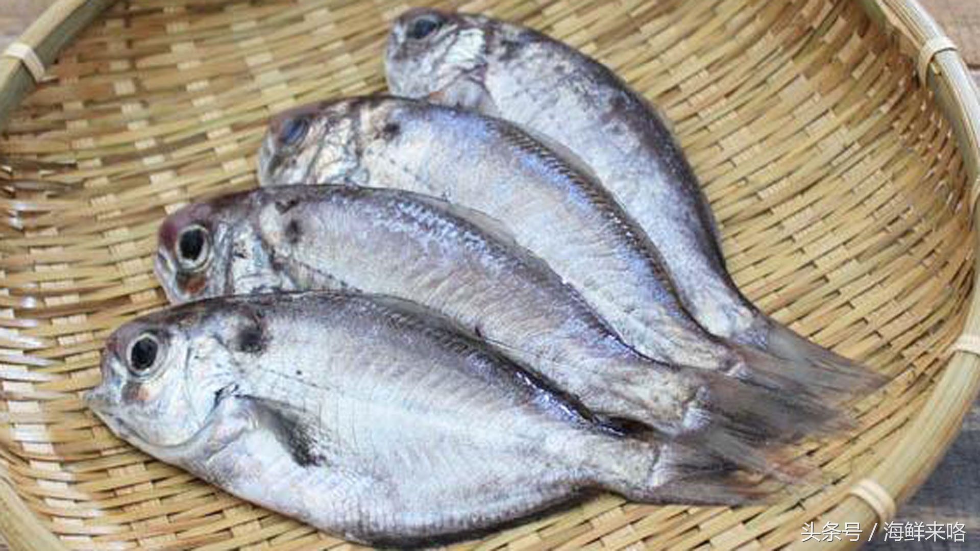 哪种海鱼吃着最简单,哪种海鱼喜欢吃肉