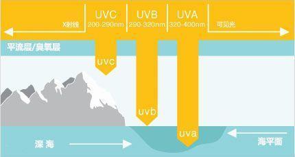 闃叉檼蹇呬拱娓呭崟,澶忔棩闃叉檼蹇呬拱娓呭崟