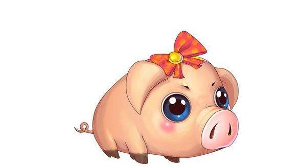 生肖属猪运势指南详解图,生肖属猪运势指南图