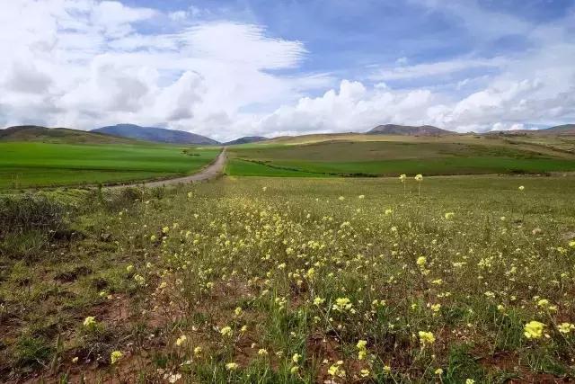 这才是旅行的样子，从亚洲至南美洲，他比我们多了点勇气和决心