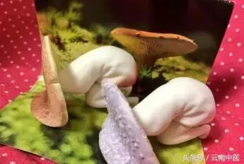 姨妈痛时，你是哪种姿势？马上喝下这道补气养血的四物汤吧