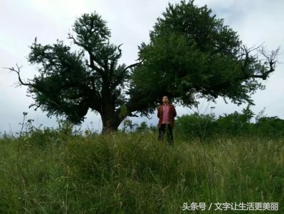 苏家山秦剧团，甘谷乡村文化的先行者！