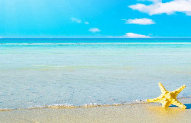 论文参考文献格式怎么对齐,论文文献引录怎么写