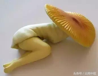 姨妈痛时，你是哪种姿势？马上喝下这道补气养血的四物汤吧