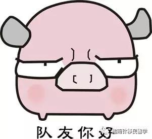 澳洲留学生的辛酸,澳洲留学生的套路