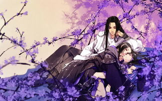 傲娇类-冷艳王妃*花采**大盗麒麟山庄