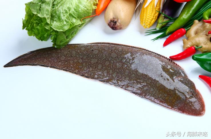 哪种海鱼吃着最简单,哪种海鱼喜欢吃肉