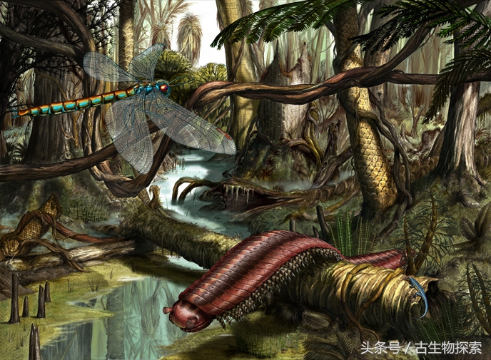 史前蜈蚣的图片加介绍,史前蜈蚣体长可达3米
