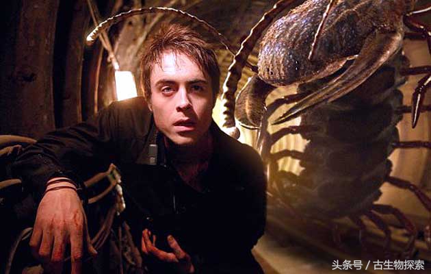 史前蜈蚣的图片加介绍,史前蜈蚣体长可达3米