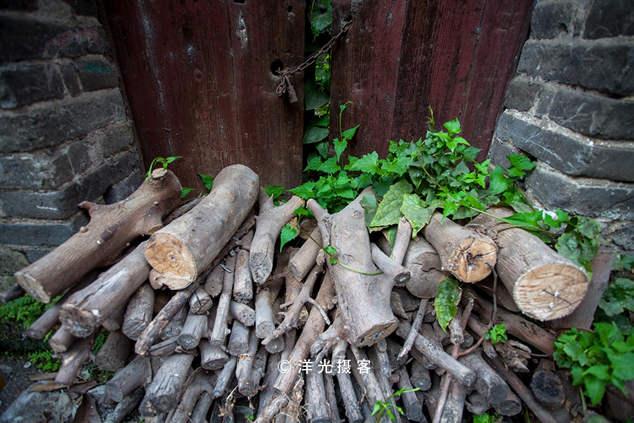 榕树不容人容人不榕树是什么意思,为什么有榕树不容人的说法