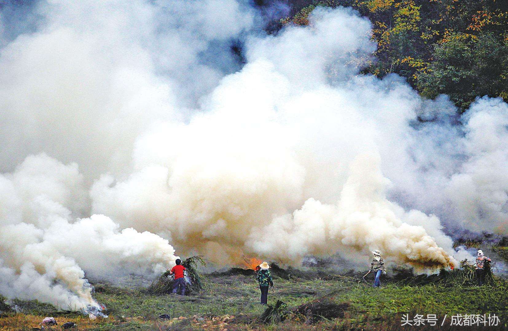 空气污染的影响和危害,空气污染会导致什么危害
