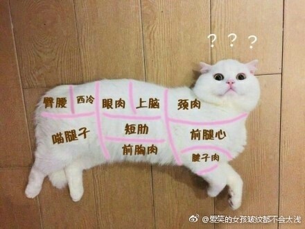 广场舞大妈跳舞把音响给砸了,大妈跳广场舞扰民音响被秀砸