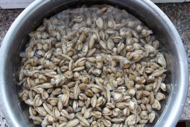 多种海鲜好吃美味来了解一下,海鲜美食大汇总