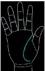 手的生命线是越长越好吗,手纹上的生命线越长越好吗